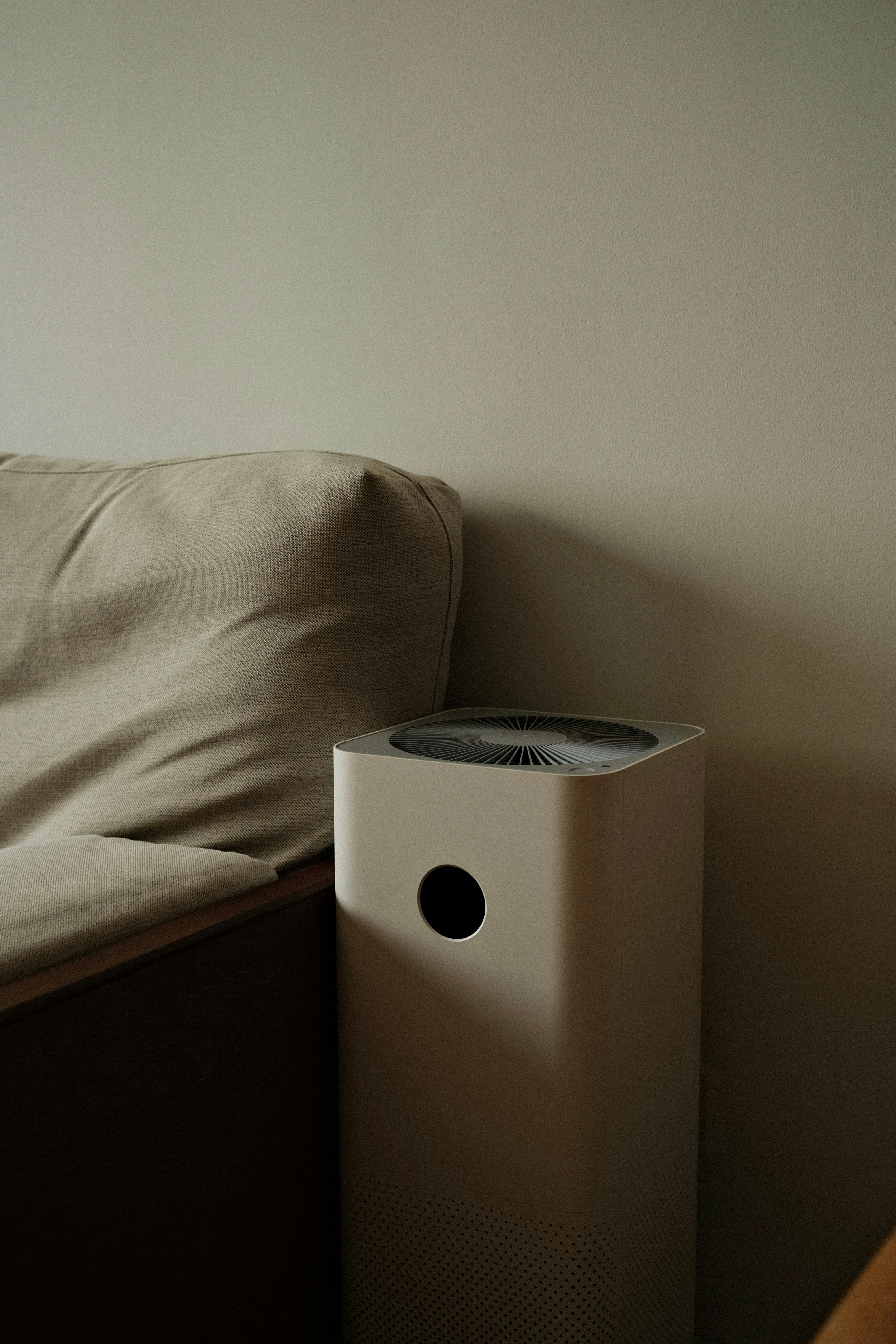 DowSton Air Purifier in a modern living room
